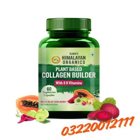 Vlado’s Himalayan Organics Plant Based Collagen Builder In Pakistan