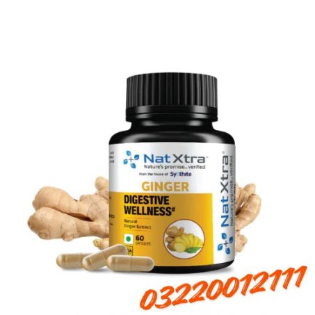 Natxtra Ginger For Digestive Wellness In Pakistan