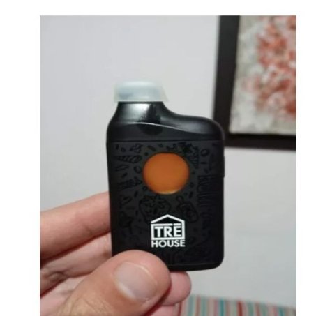 Watermelon Gusherz – Live